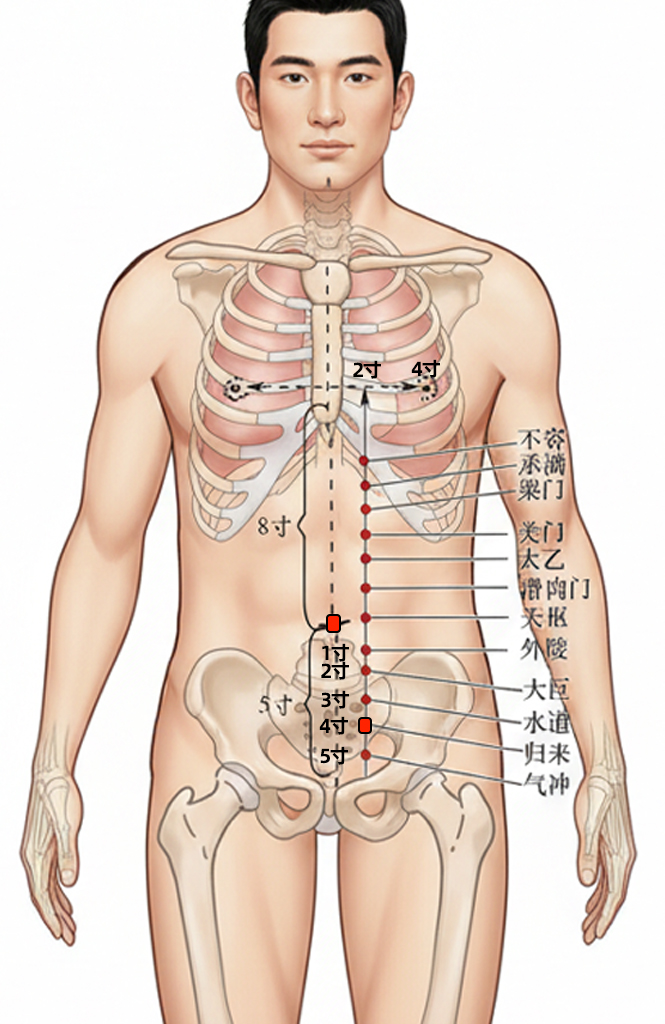归来穴 / ST-29 / Guilai / Return