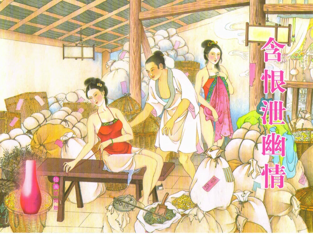 《金瓶梅全传 ▪ 含恨泄幽情》50 兰陵笑笑声 中国文苑出版社