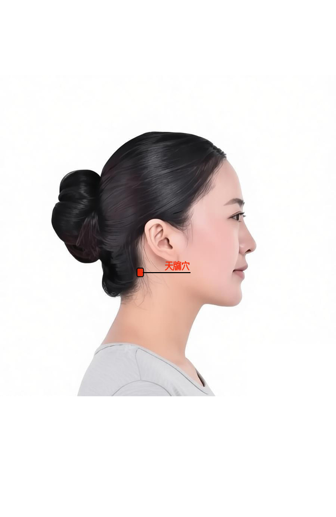 天牖穴 / SJ-16 / tianyou / Heavenly Window