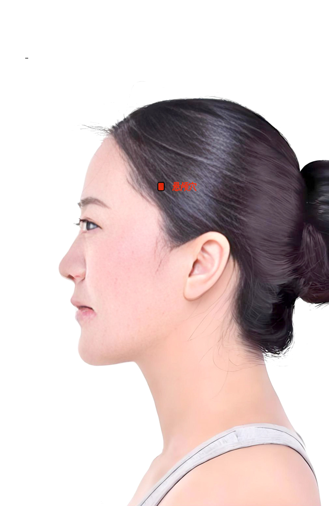 悬颅穴 / GB-5 / xuanlu / Suspended Skull